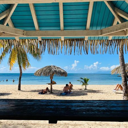 Brin D'Ile Anse Des Rochers Vue Mer A 50 M De La Plage Et Piscine Saint-François Kültér fotó