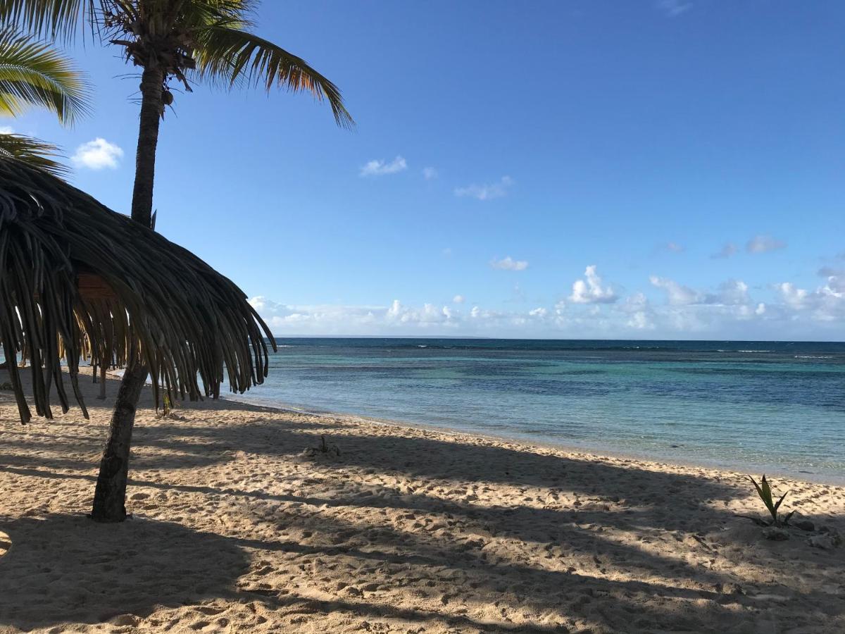 Brin D'Ile Anse Des Rochers Vue Mer A 50 M De La Plage Et Piscine Saint-François Kültér fotó