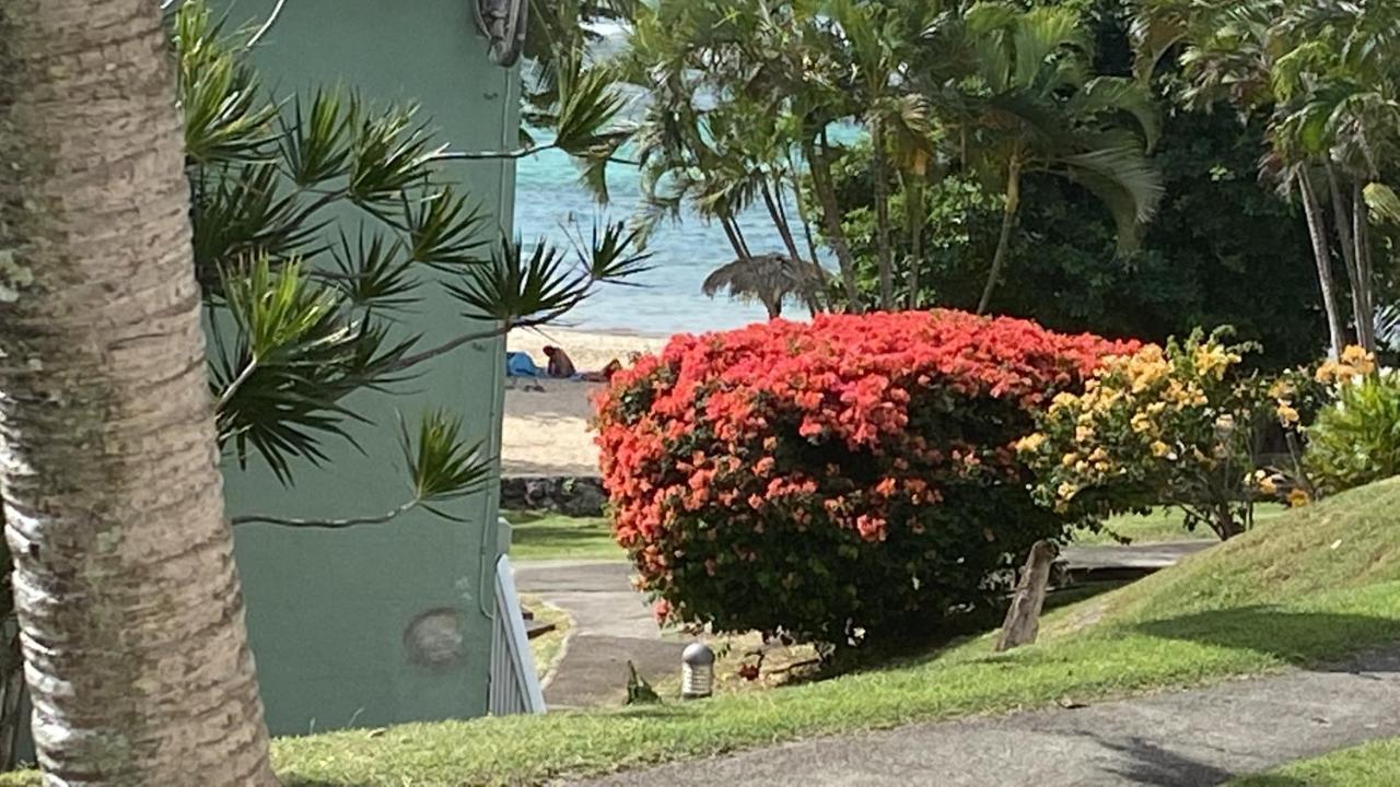 Brin D'Ile Anse Des Rochers Vue Mer A 50 M De La Plage Et Piscine Saint-François Kültér fotó
