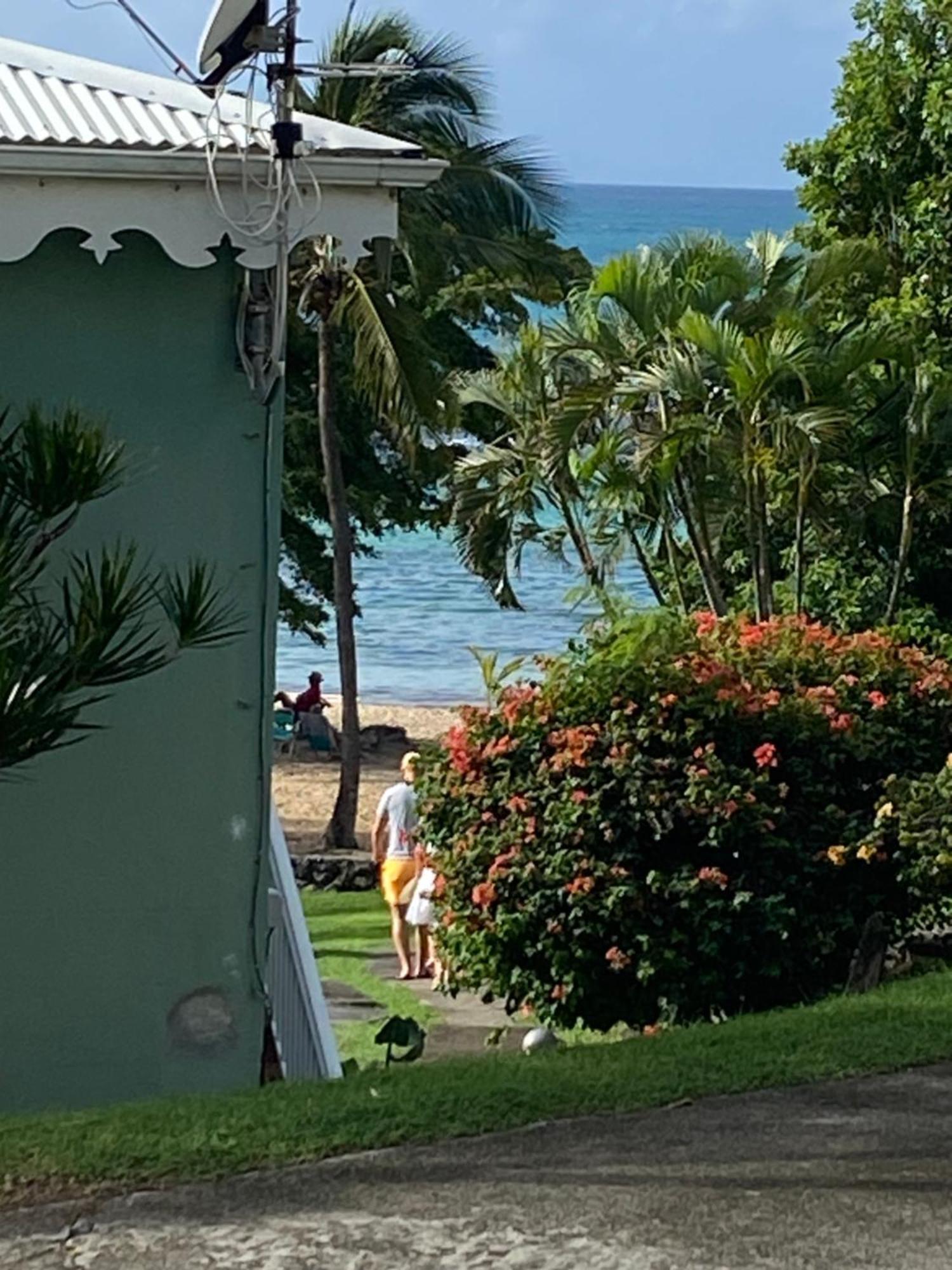 Brin D'Ile Anse Des Rochers Vue Mer A 50 M De La Plage Et Piscine Saint-François Kültér fotó