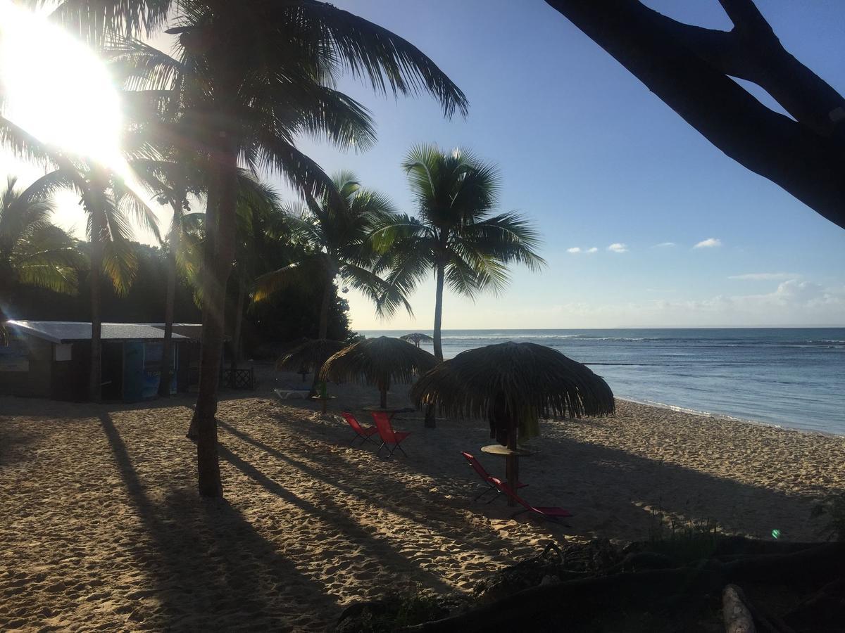 Brin D'Ile Anse Des Rochers Vue Mer A 50 M De La Plage Et Piscine Saint-François Kültér fotó
