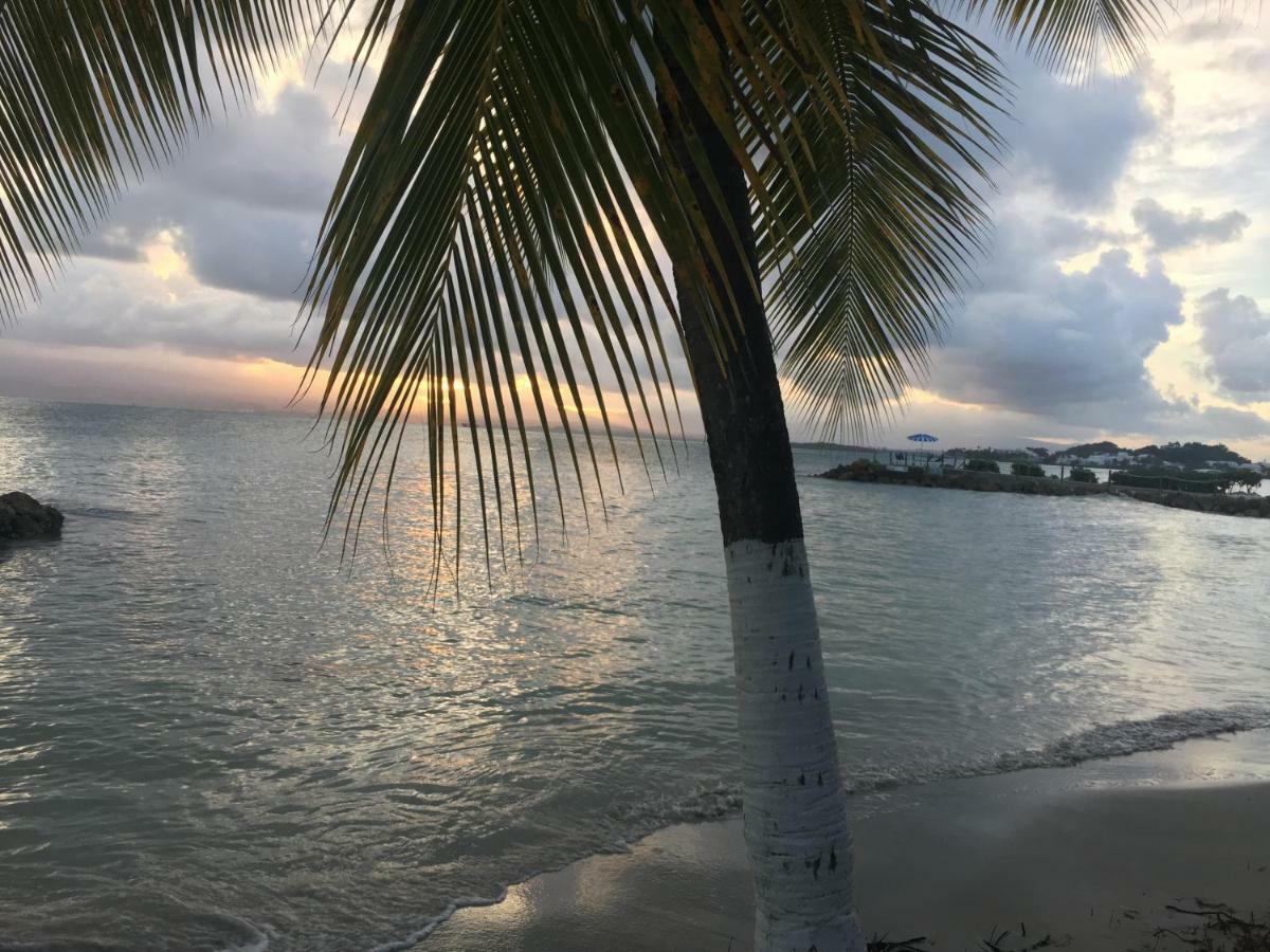 Brin D'Ile Anse Des Rochers Vue Mer A 50 M De La Plage Et Piscine Saint-François Kültér fotó